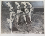 RARE c1940s 2 x Renee’s Canine Cadets Circus Performing Troupe Promo Cards
