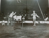 RARE c1940s 2 x Tates ? Performing Dogs Troupe / Circus Large Photographs.
