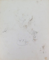 RARE c1940s Performing Circus Elephant Large Photograph. #5