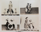 RARE c1940s Phil & Bonnie Bonta “ Dog Gone Good Dogs" Circus Large Photograph