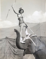 RARE 1949 Performing Circus Elephants Large Photograph. #8