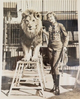 RARE 1930s / 1940s Lion Tiger Trainer Julie Allen / Circus Large Photograph #4