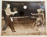 RARE c1940s USA Circus / Performing Bear & Trainer Large Photograph.