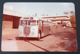 1974 6 Photos Vintage Brisbane Council Buses.
