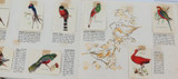 1960 Vita-Brits Card Album. BIRDS of the WORLD. Complete with Cards.