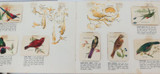 1960 Vita-Brits Card Album. BIRDS of the WORLD. Complete with Cards.