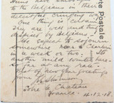 RARE WW1 1918 Souvenir Postcard. Arrival of the Allies at Charleroi, Belgium.