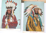 Superb Lot of 19 x 1907 - 1908 Native American Indians Colour Postcards