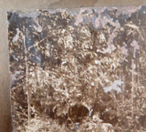 c1910 - 1920s Super Rare / Huge Photograph Vision Falls, Atherton Tablelands, NQ