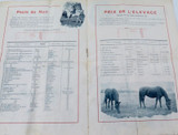RARE 1899 Bruxelles, Belgium Equestrian Program. Concours Hippique International