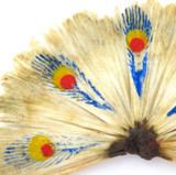Intriguing Antique Large Handpainted Peacock Train Brooch ? or Hair Accessory ?