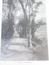 Group Lot Original 1886 Engraving Prints, New Zealand Nature Landmarks