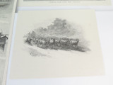 Group Lot Original 1886 Engraving Prints, Early Australian Agriculture