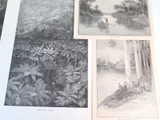 Group Lot Original 1886 Engraving Prints, Early Rural Victoria