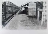 Rare View, Early 1900s Photo Nerang Train Station, Gold Coast.