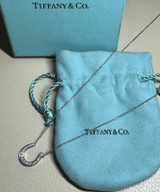 Auth. Tiffany & Co. Platinum Diamond Set Lucky Horse Shoe Pendant Necklace