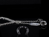 Auth. Tiffany & Co. Platinum Diamond Set Lucky Horse Shoe Pendant Necklace