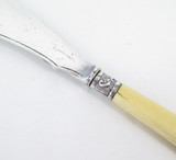 Decorative Antique 1888 Sterling Silver Collared Fish Knife With Genuine Ivory Handle 