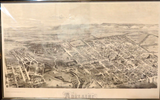 Huge Framed 1876 Reproduction Panoramic Map / View Of Adelaide South Australia