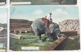 1907 Rangoon 6 Colour Postcards. Part of a Series by D A Ahuja, Rangoon