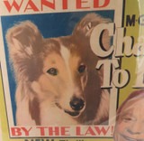 RARE 100% Genuine 1949 Cardboard Movie Poster “Challenge to Lassie"