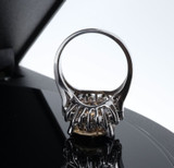 Vintage 14K White Gold 14.6x12.5mm Zircon & 0.72ct Diamond Halo Ring Val $9940