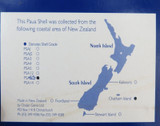 Large Boxed Rainbow Paua Shell by Ocean Gems, New Zealand. 12.5cms x 9.5cms