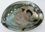 Large Boxed Rainbow Paua Shell by Ocean Gems, New Zealand. 12.5cms x 9.5cms