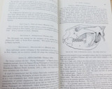 1924 SCARCE Book “The Mammals of South Australia. Part II"