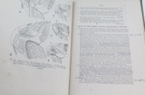 1944 SCARCE Book “Insects of Medical Importance” 2nd Edition with Corrections