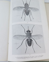 1944 SCARCE Book “Insects of Medical Importance” 2nd Edition with Corrections