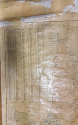 RARE Early 1900s HUGE 2m x 1.4m QLD Pastoral Stations Wall Hanging Map