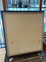 Shane Dye Framed Under Glass Horse Racing Jockey Silks & Whip 1999