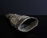 17th Century Burmese Rakhine 12.7cm Bronze Figure of Buddha