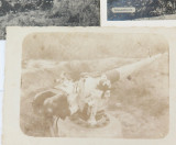 Job Lot WW1 Postcards. Includes Real Photo. RPPC