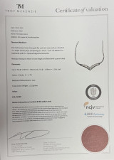 An Incredible Vintage 1.94ct Diamond Set 14k White Gold V Necklace Val $11150