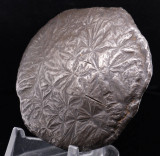 Antique Lan Na Flower Money Currency Piece Burmese Thai 16th–18th C. 104.1g