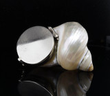 Antique Natural Shell Snuff Pill Patch Box Nickle Silver Mounted C.1900