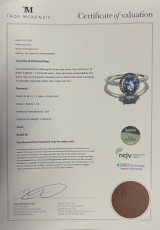 Vintage 10k White Gold Tanzanite & I Si Diamond Halo Ring Size N1/2 Val $5265