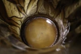 Rene Lalique "Bacchantes" Vase – Dark Topaz Glass, Model No. 997
