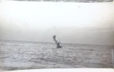 1917 WW1 RARE Set 3 / RAF Experiment / Plane Crashing into Sea Official Photo's