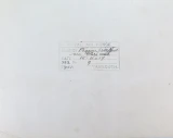 Unsual !! WW1 1917 RAF Official Photograph. "Pigeon Stuffed in Glass Case"