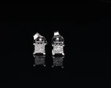 10K White Gold 0.36cttw Princess Cut Diamond Stud Earrings Val $2585
