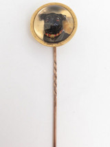 Large Antique Victorian Reverse Intaglio Essex Crystal Pug Dog Gold Stick Pin