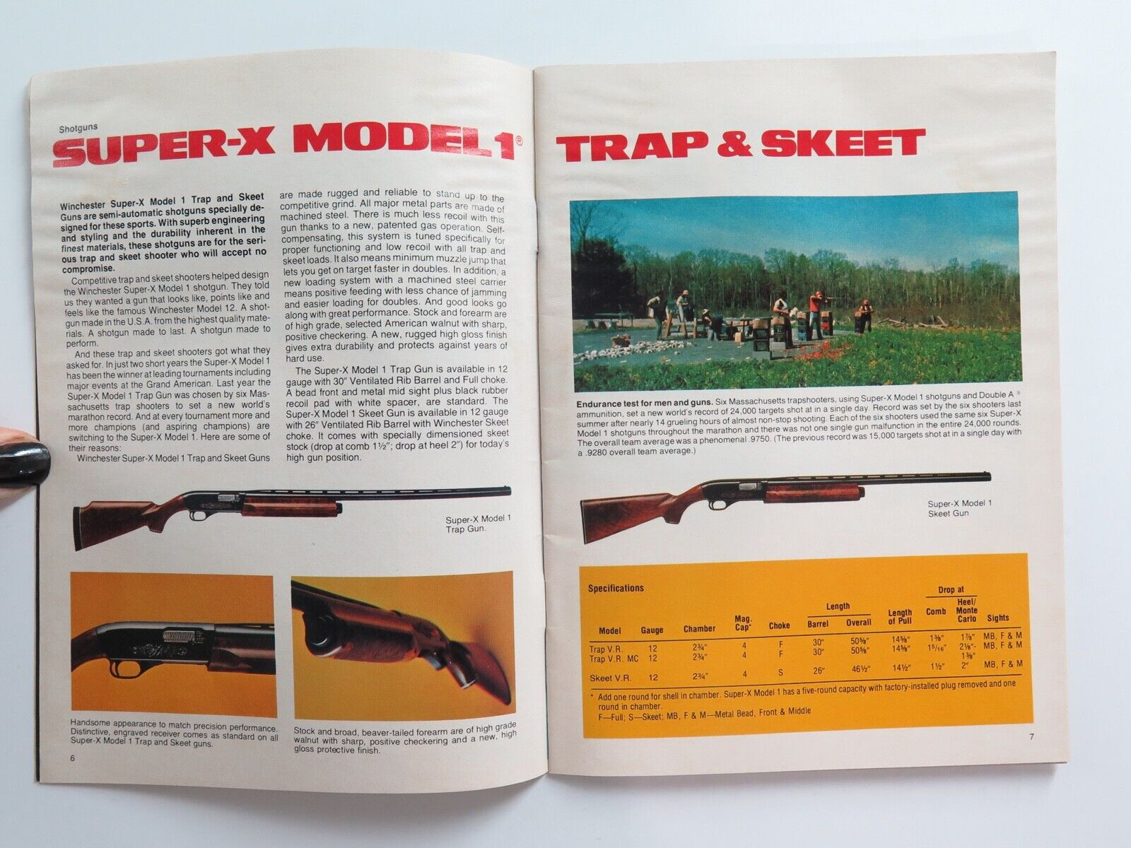 Winchester Western Sporting Arms Catalog 1981 D.D.Teoli Jr. A.C. : D.D