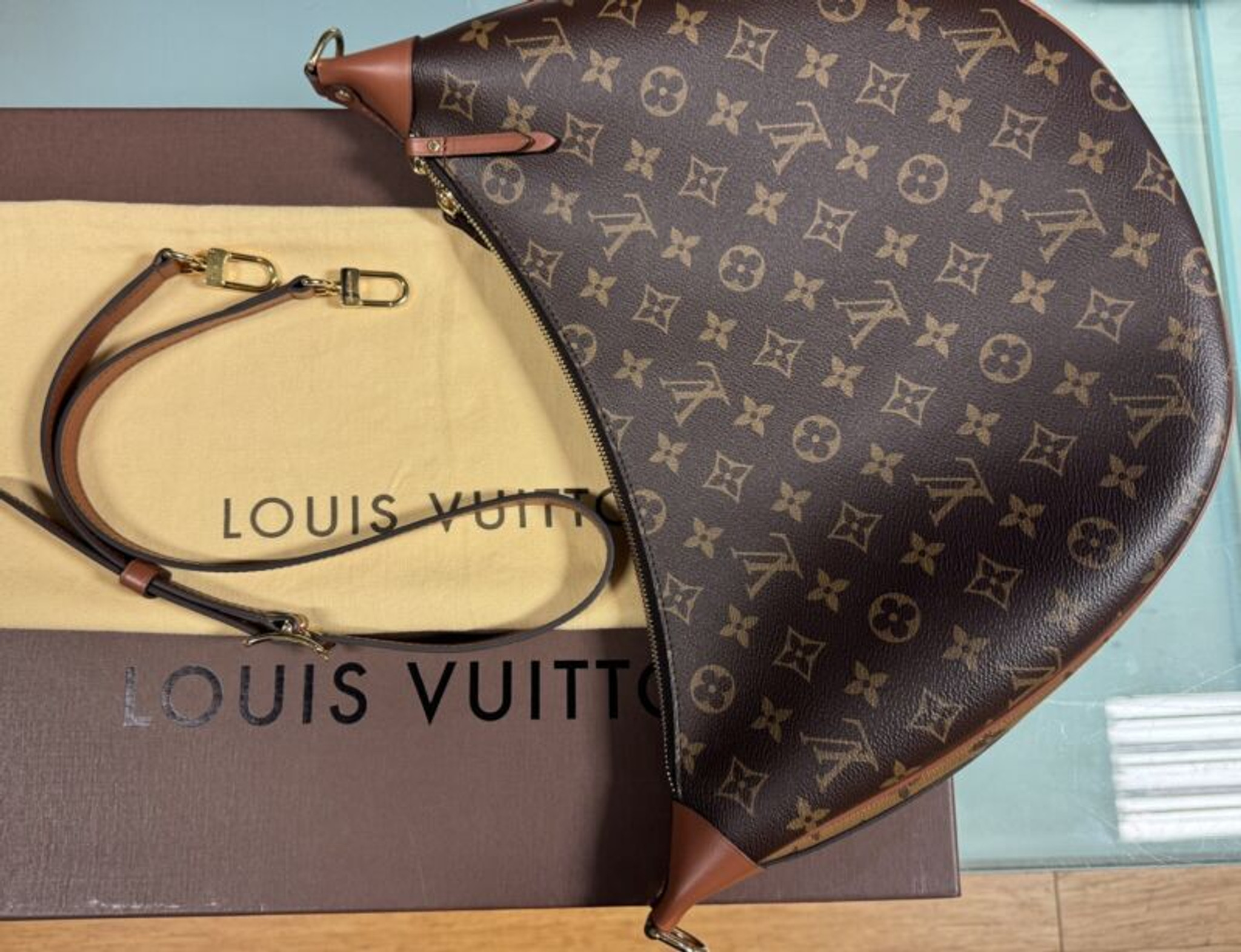 Louis Vuitton Loop Hobo Bag Organizer