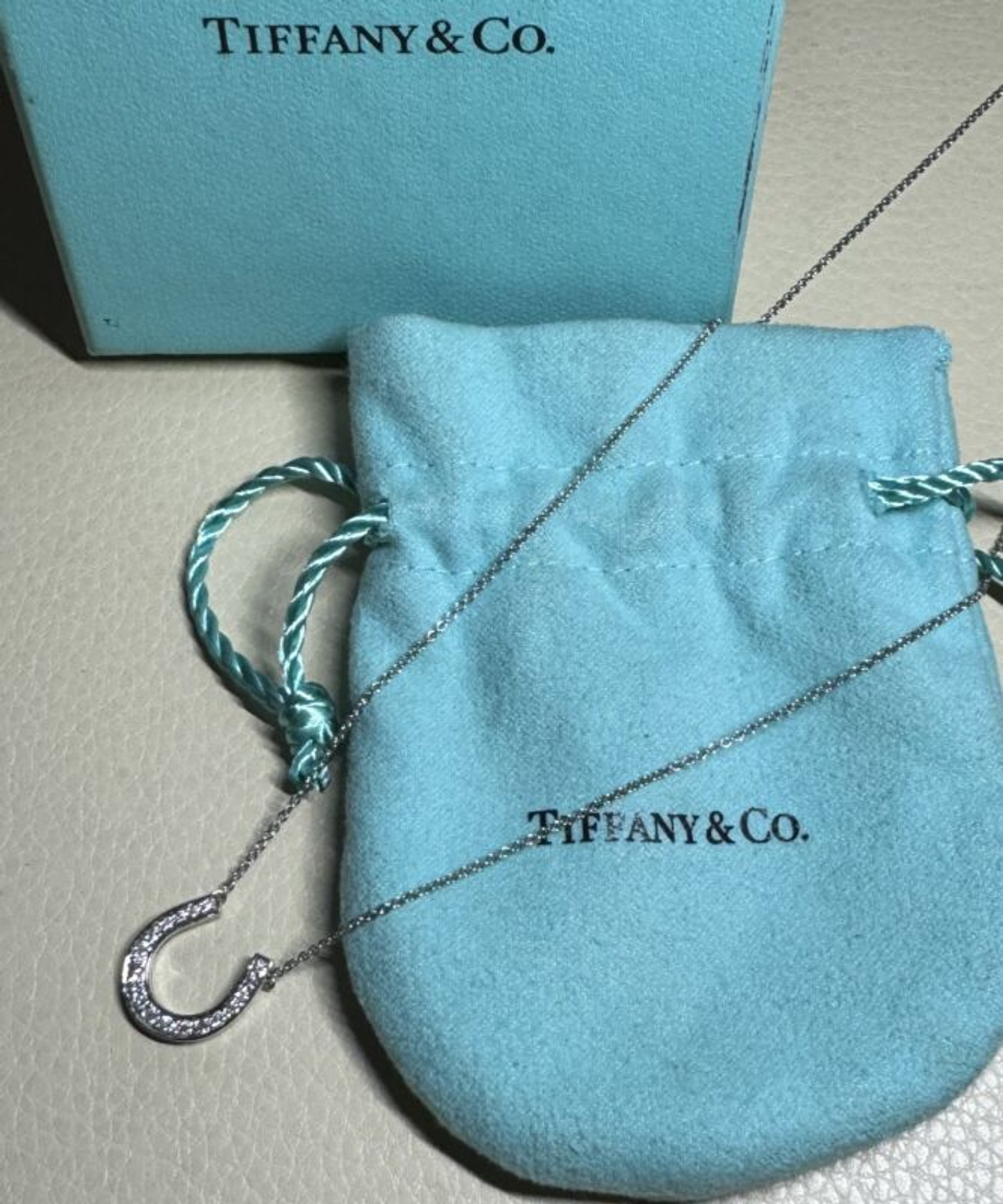 TIFFANY & CO. 18K Diamond Horseshoe Pendant Necklace | Authentic £744.43 -  PicClick UK