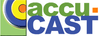 Accu-Cast