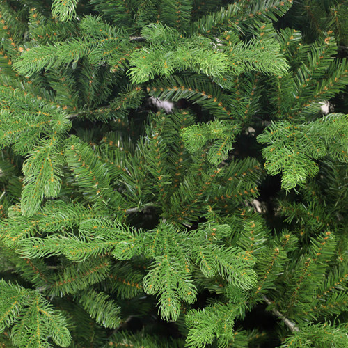 9ft Feel Real Bosworth Spruce Hinged Christmas Tree 9ft Feel Real Bosworth Spruce Hinged Christmas Tree
