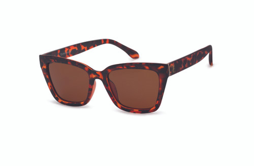 TC Sol Sunglasses Tortoise TC Sol Sunglasses Tortoise